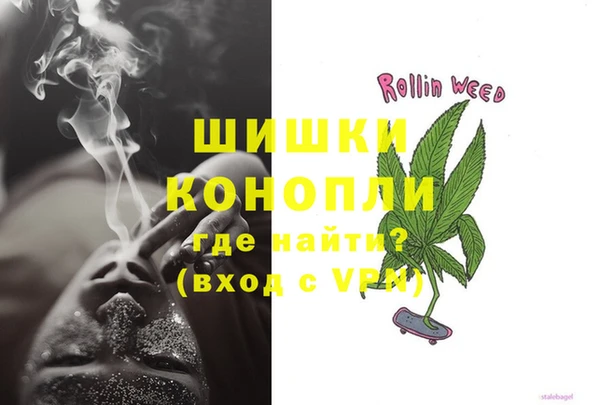дживик Богородицк