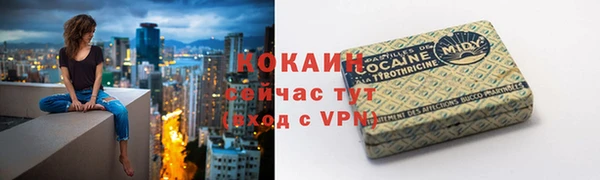 дживик Богородицк