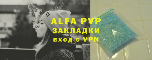ПСИЛОЦИБИНОВЫЕ ГРИБЫ Белоозёрский