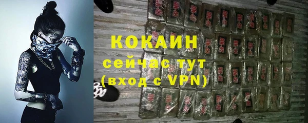 ПСИЛОЦИБИНОВЫЕ ГРИБЫ Белоозёрский