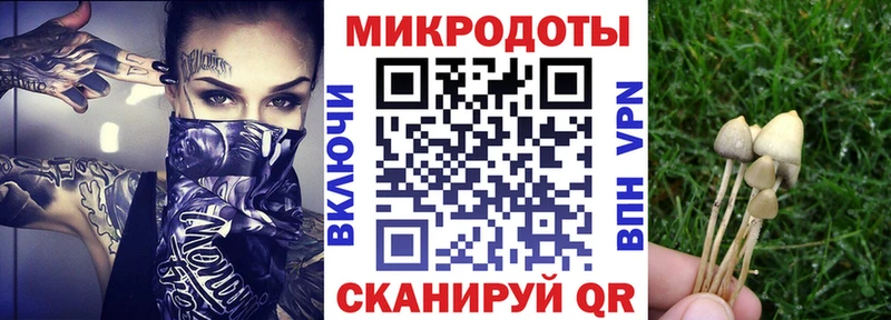 Галлюциногенные грибы Psilocybe  omg ССЫЛКА  маркетплейс формула  Котовск 